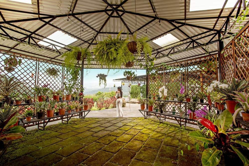 Coffee Pickers Village By Hacienda Orosi Cartago Ngoại thất bức ảnh